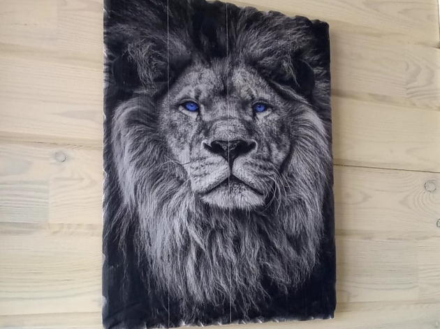 PAINTING "LION"