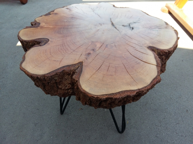 Journal Table Forest 3