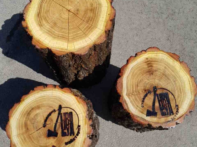 STUMP WITH MARK