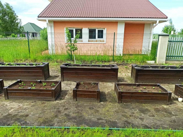 Декоративные грядки