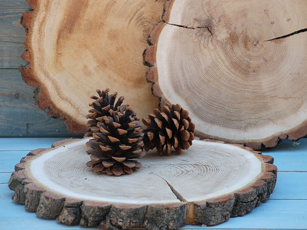 CUTS OF WOOD (BY THE PIECE) OAK