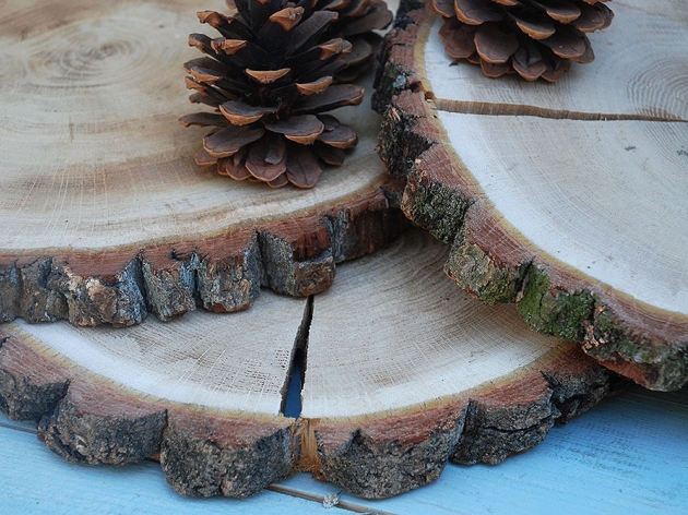 CUTS OF WOOD (BY THE PIECE) OAK