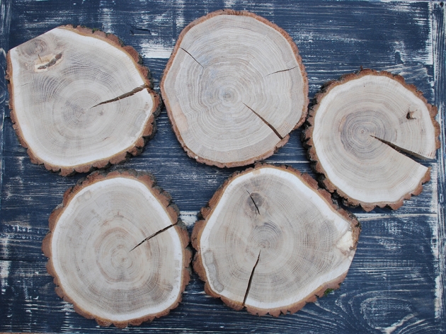 CUTS OF WOOD (BY THE PIECE) OAK
