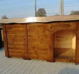 One-Level Kennel (0009)