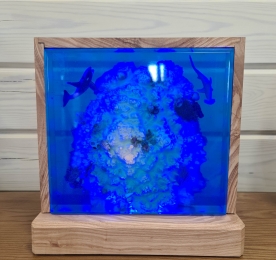 Светильник CORAL