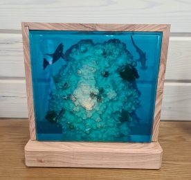 Светильник CORAL