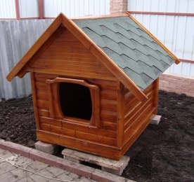 Kennel of Wood (0158)