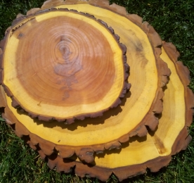 POPLAR`S CUT