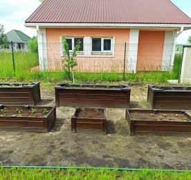 Декоративные грядки