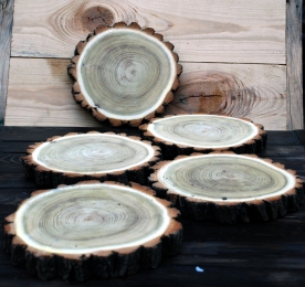SET OF ACACIA`S CUTS