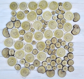 SET OF CUTS. VINEGAR TREE (SUMAC)