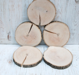 SET OF CUTS. ASH. NV 042